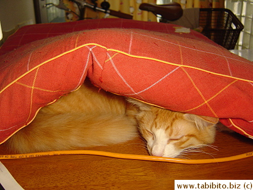 Perhaps he thinks the cushion is a blanket