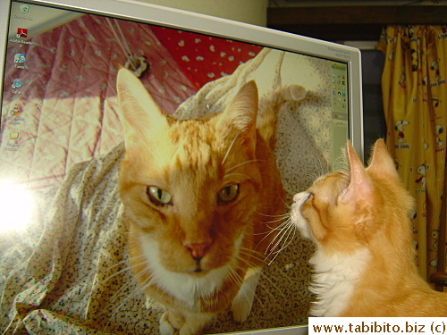 If only they could meet...(Sigh)