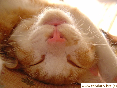 Sleeping with his mouth opened