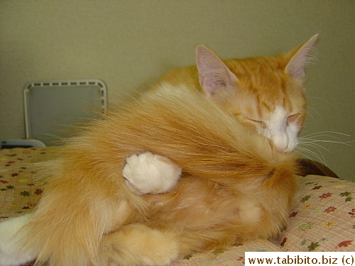 That's a lot of tail to hold