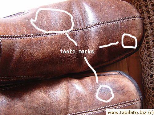 KL's favorite shoes suffered the same fate
