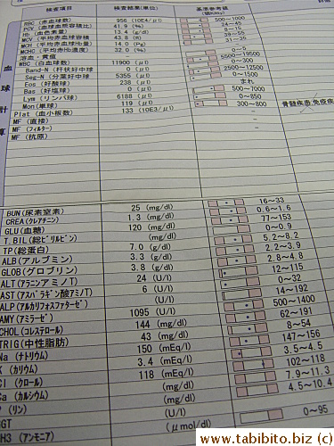 Pre-op Complete Blood Count 