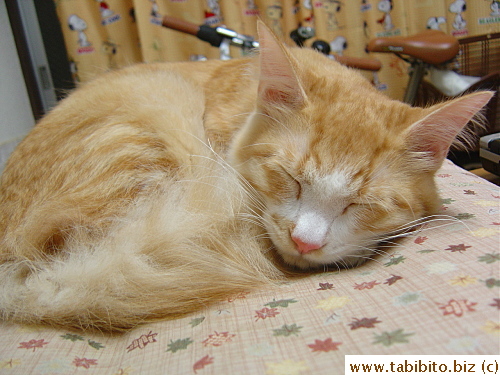and tired looking