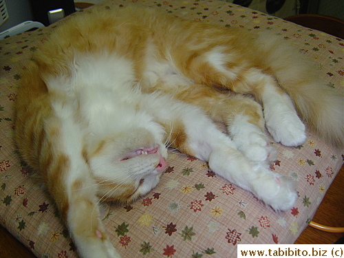 Another relaxed Efoo sleeping pose