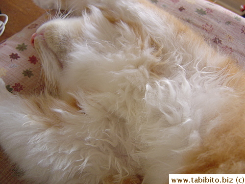 Hairy chest