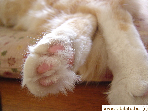 and right foot