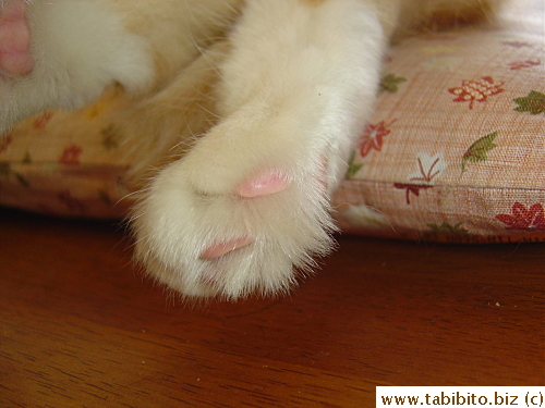 Left foot