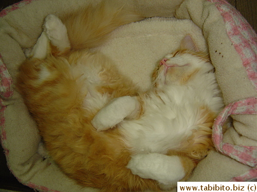 Curling up his body this way doesn't help much