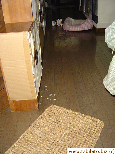 Another day, it was like this. The mat was dragged from upstairs!