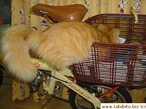 Jumping into the basket to steal