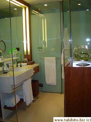 Modern vanity area
