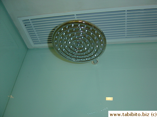 Large shower head