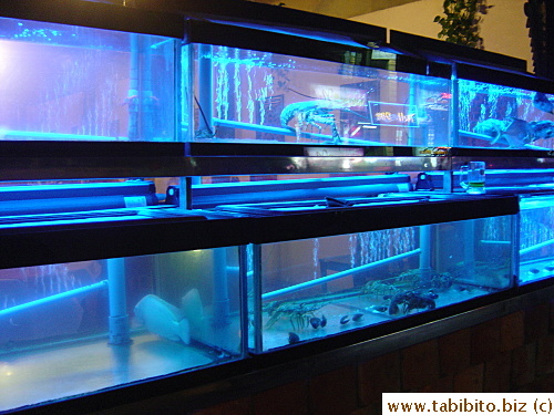 Fish tanks at the entrance