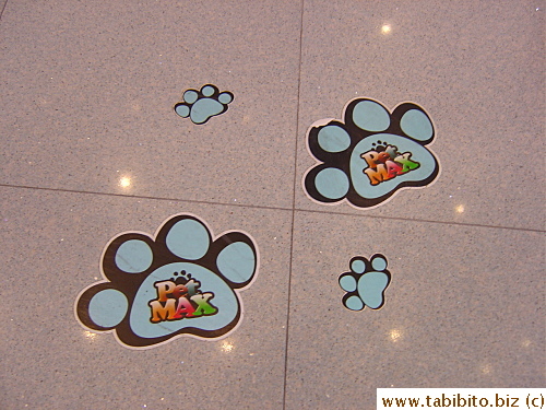 Paw prints on the floor