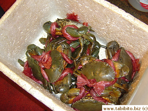 Mud crabs