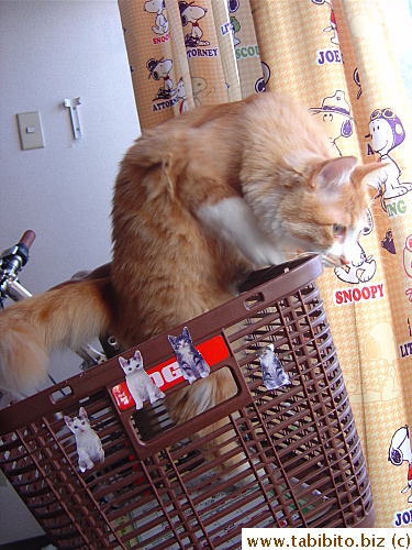 Saw something interesting