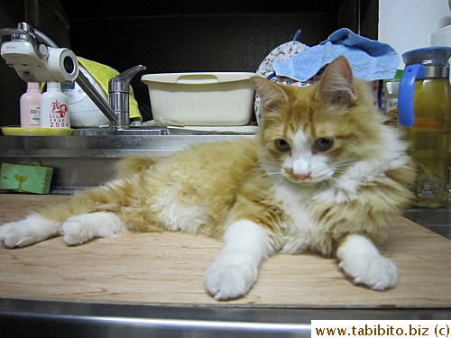 Wondering who put this friggin' board over the sink