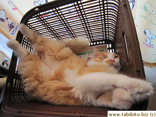 startled him actually