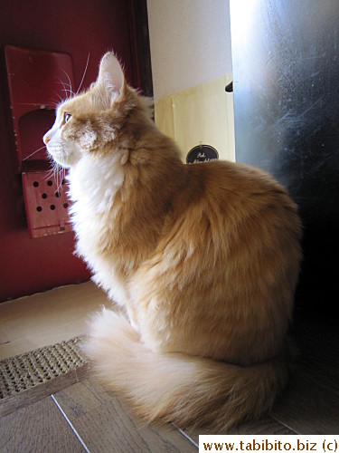 Handsome