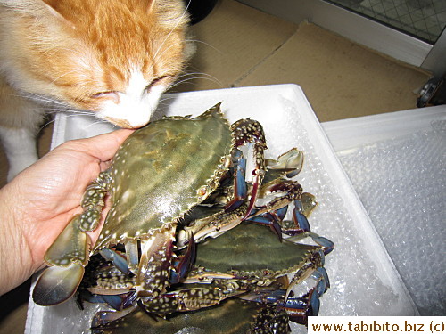 Good-sized crabs