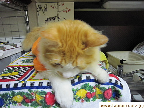 Tried to take his picture at eye level,