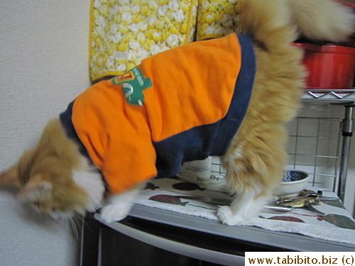 but he ran away immediately