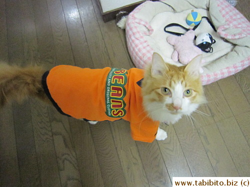 I guess Efoo will always be too small for Daifoo's shirt