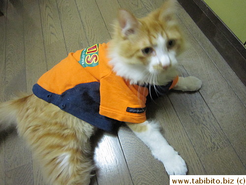 Don't like to be dressed