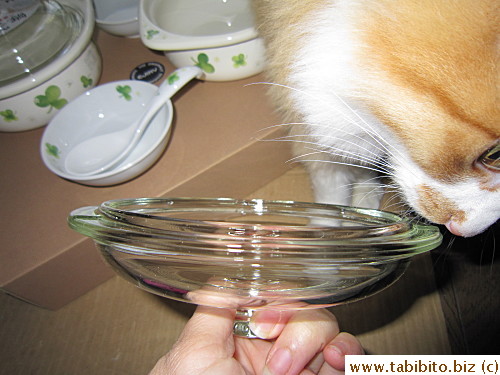 heavy and thick glass lid