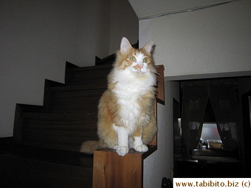 At eleven months old
