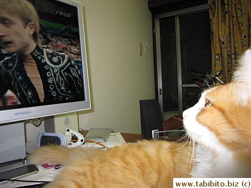 Women skaters are more fun to watch.