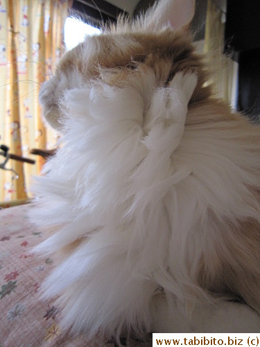 Hairy