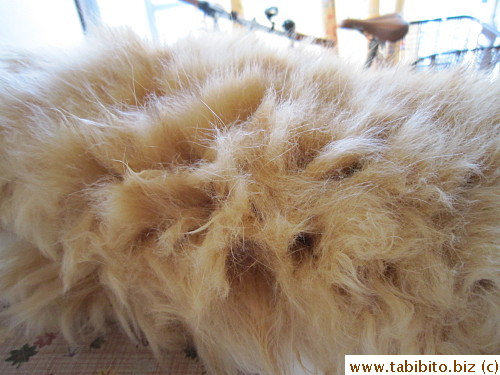 Lots of thick fur