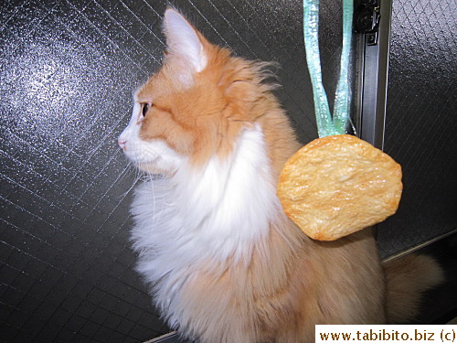 Why, you don't like your senbei medal, Efoo?