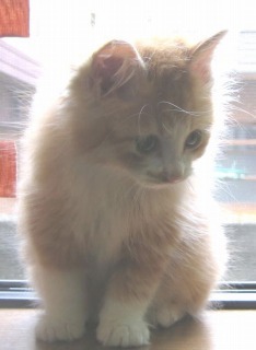 Too cute at two months!