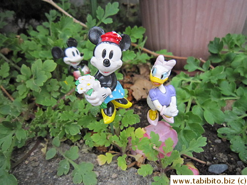 The Micky family grew!