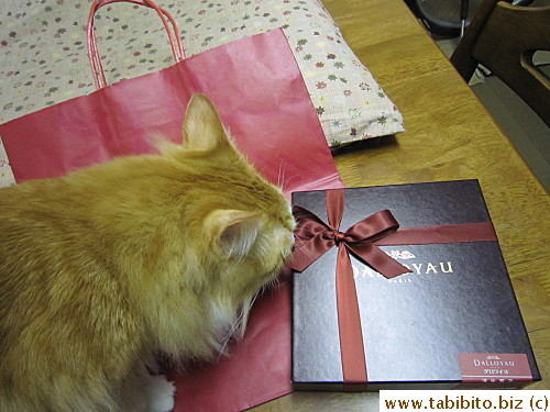 Efoo always wants to know what we bring home