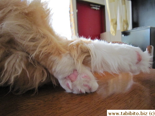 Cute feet