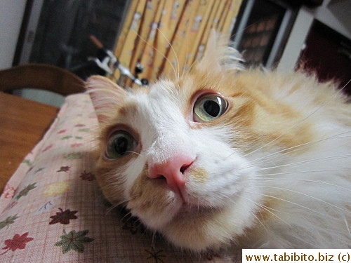 Whoa, you look like a fish, Efoo!