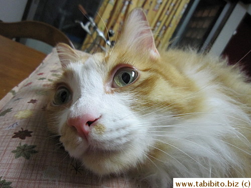 You look tense, Efoo