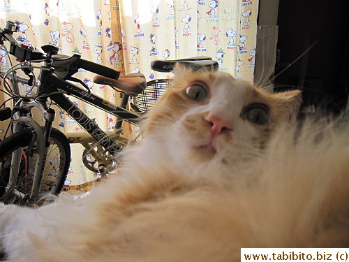 and as always, easily startled
