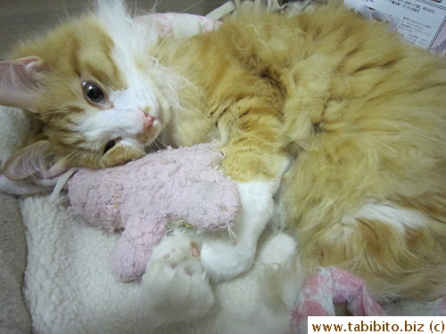 His safety blanket