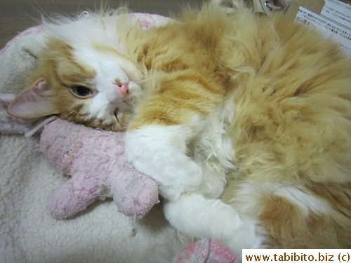 His pillow