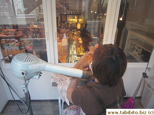 Trimming service at Three Dog Bakery