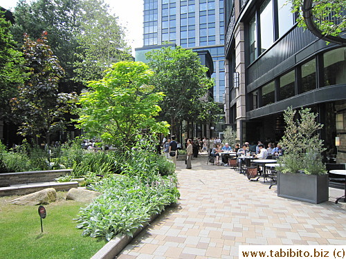 Ground floor garden