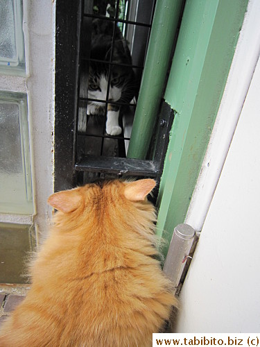 He wants to play with Efoo,