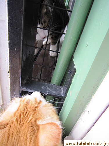 but he often hisses at him too