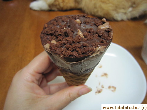 Crunchy chocolate stuff and chocolate cookie on top