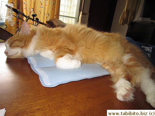 cause he only used it