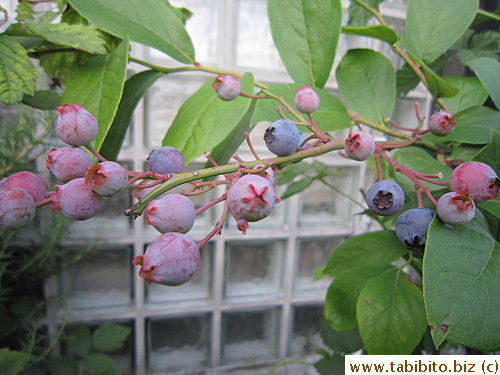 KL took this picture for documentation sake